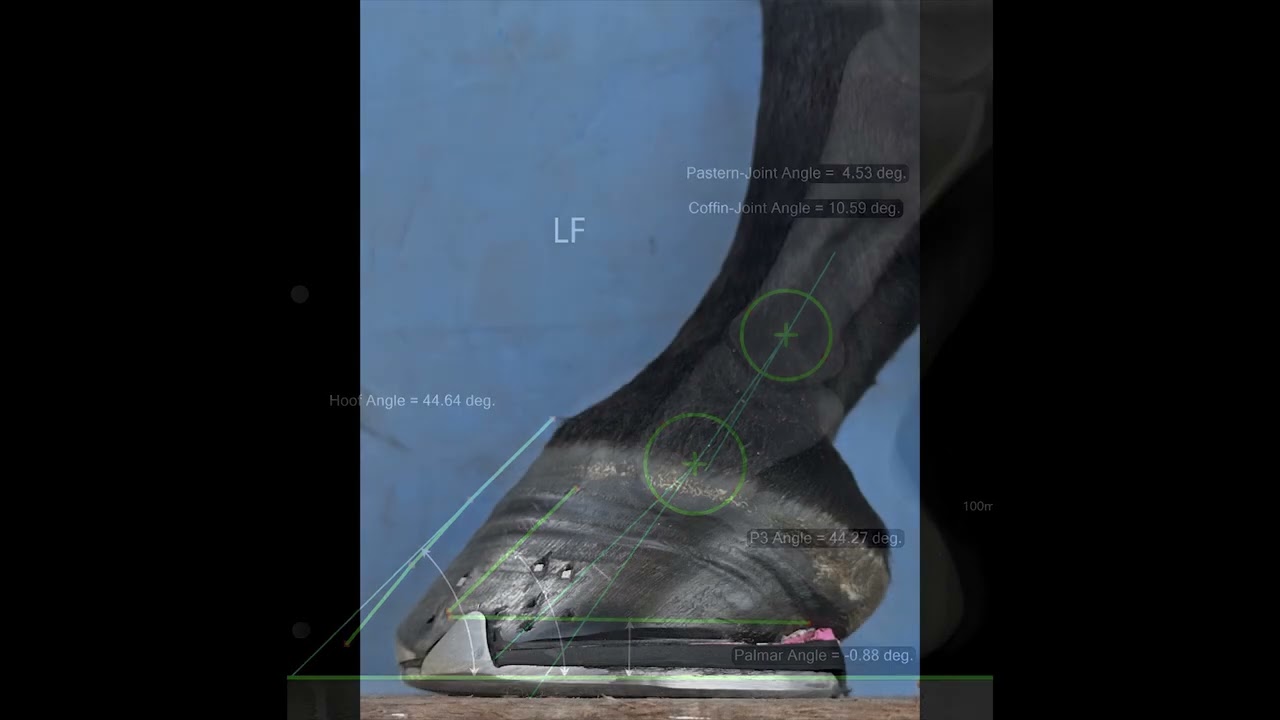 3D Wedge Pad Application
