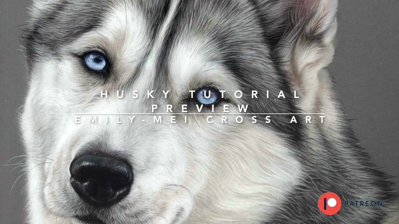 Husky tutorial preview