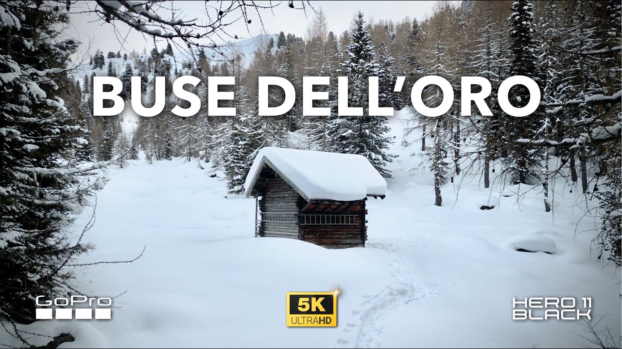 Notte al BIVACCO BUSE DELL'ORO da Malga Rolle con @stayhigh94  | Dolomiti [5K]