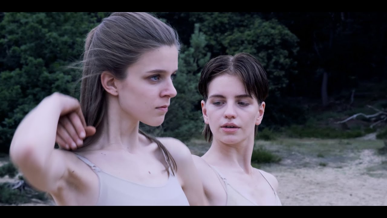 Erwin J.A. Sengers & Martijn Hak ft. Elise van Etten - Tribute to the Souls (official music video)