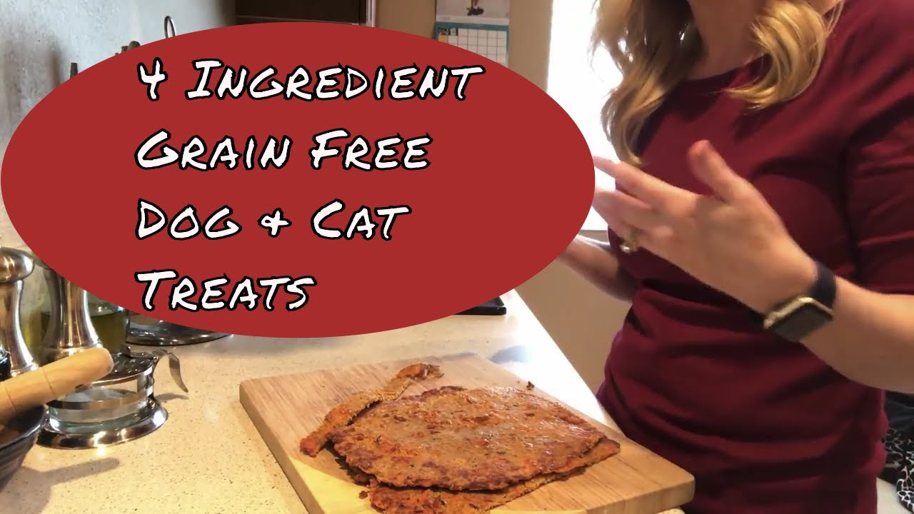 Homemade Dog and Cat Treats 4 Ingredients Fishy Turkey Bites Grain Free