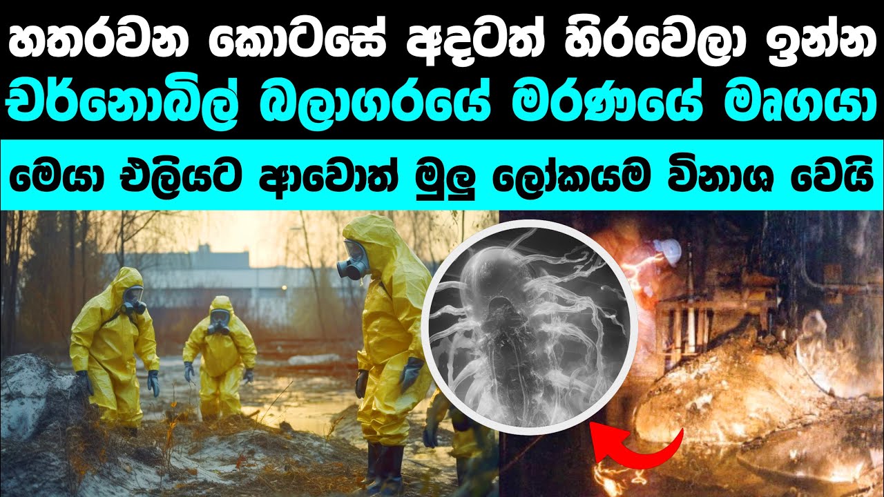 හතරවන කොටසේ ඉන්න මෘගයා කවුද? | Chernobyl: What's Under the 4th Block Now?
