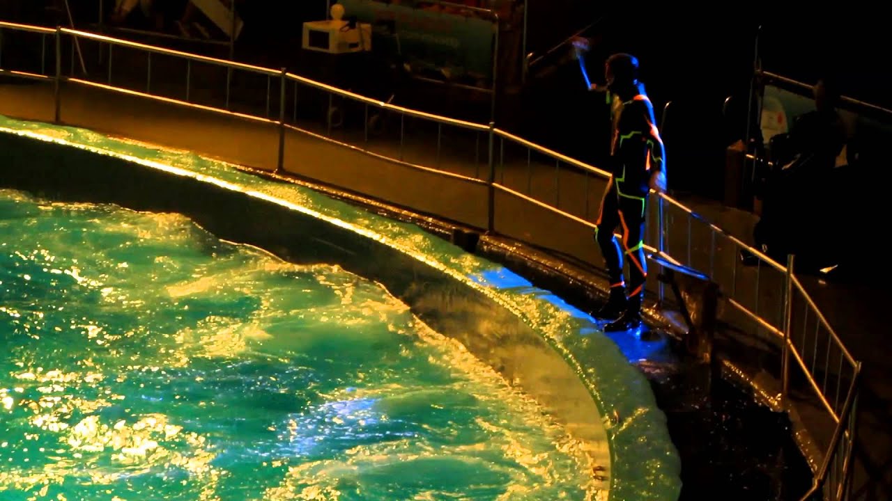 Droom Wens Dolfinarium Harderwijk 08-08-12