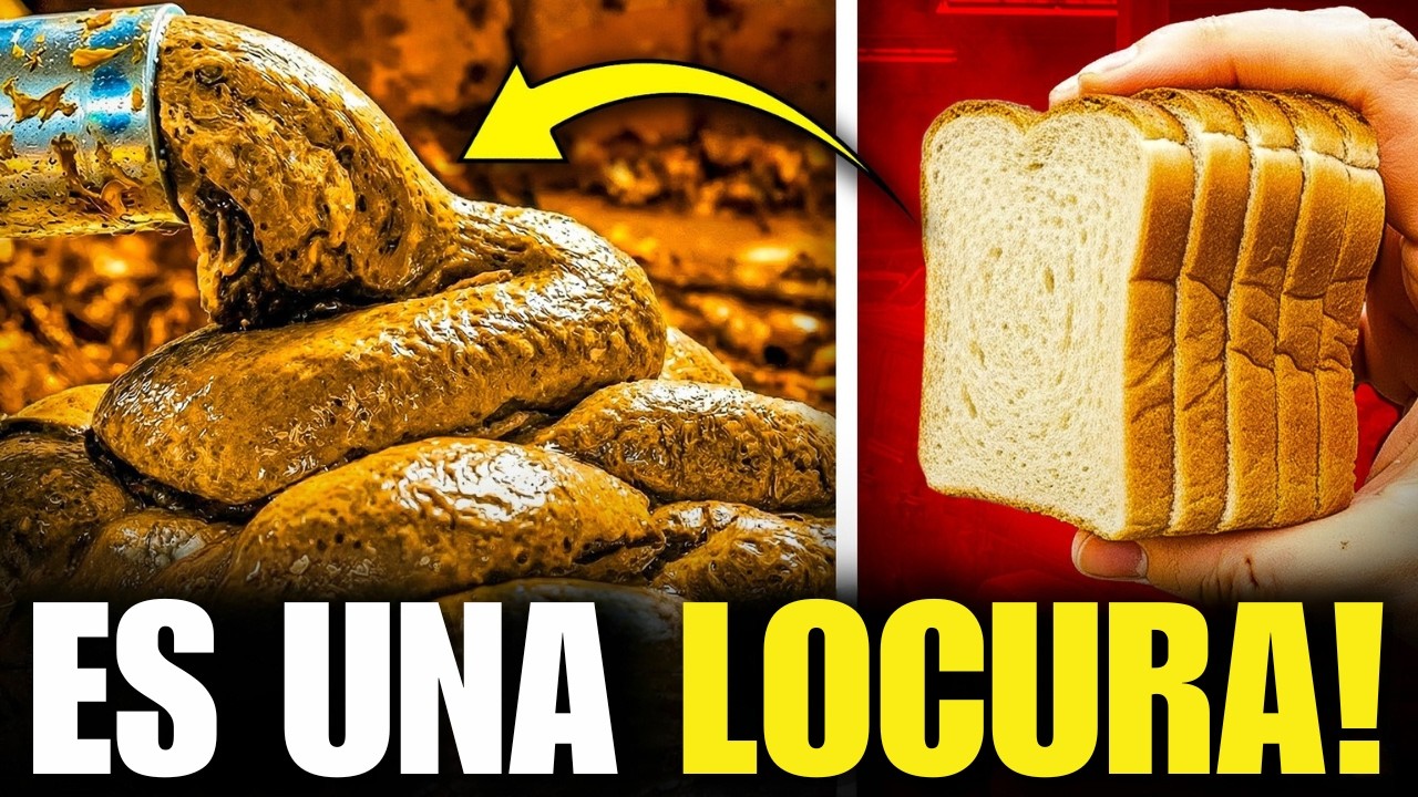 Cómo Se Hace El Pan ''Recién Horneado'' En La Fábrica
