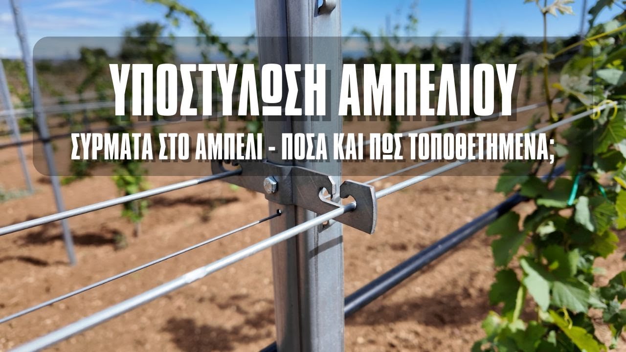 Σύρματα Σε ΣΥΓΧΡΟΝΟ Γραμμικό Αμπελώνα | Πόσα & ΠΩΣ Τοποθετημένα;