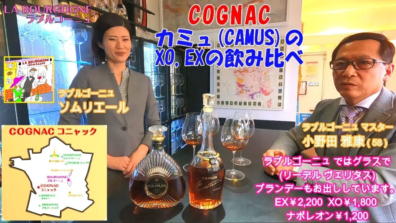 【ブランデー】コニャック、カミュ（CAMUS）X.O.,エクストラ飲み比べ