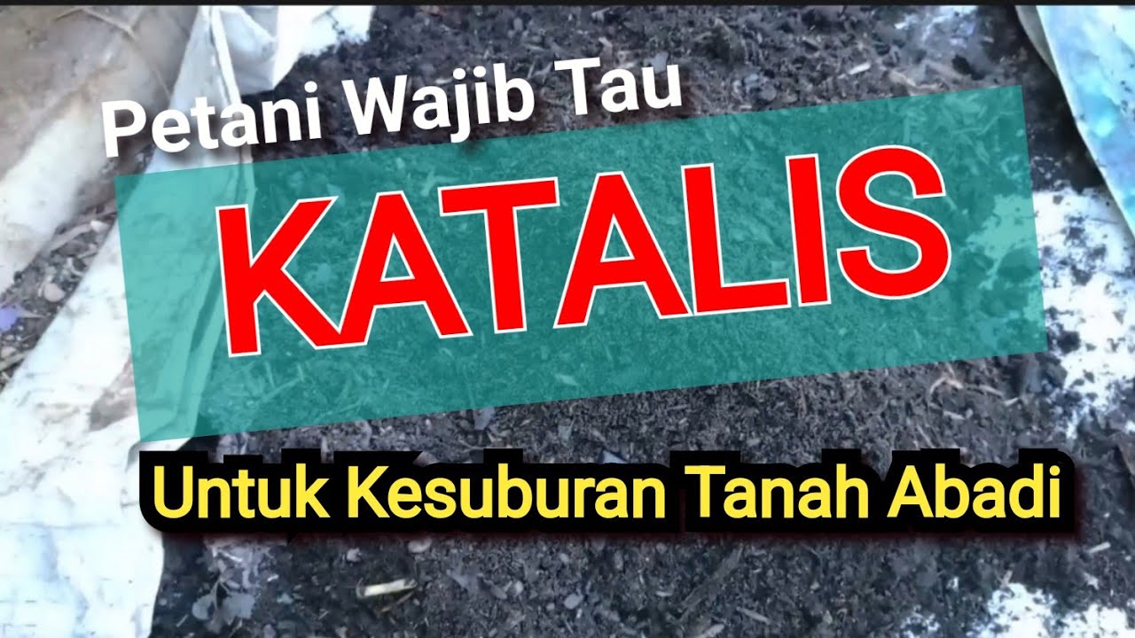 KATALIS untuk Kesuburan Tanah Abadi || Arti & Macam Jenis Katalis