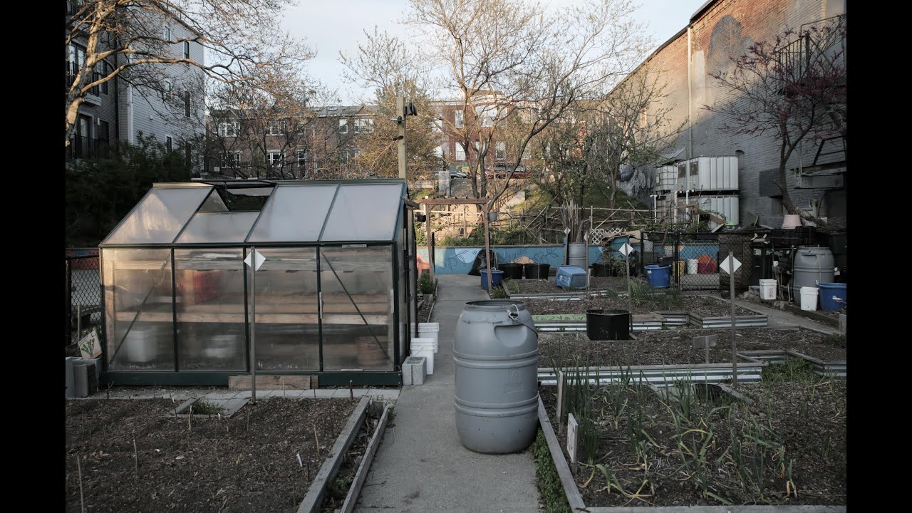 Eastie Farm