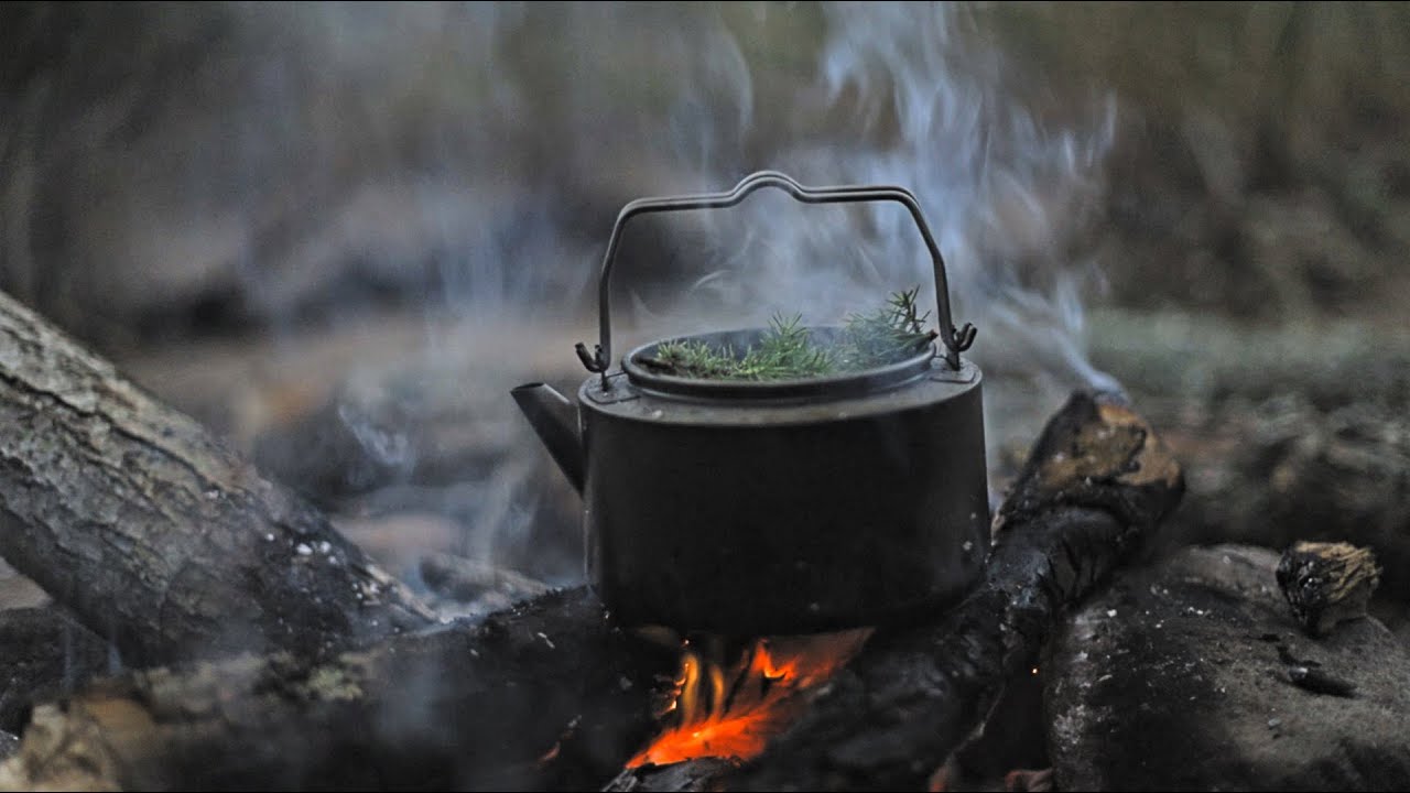 Bushcraft in Sweden: Chanterelles . Juniper Tea & Fishing