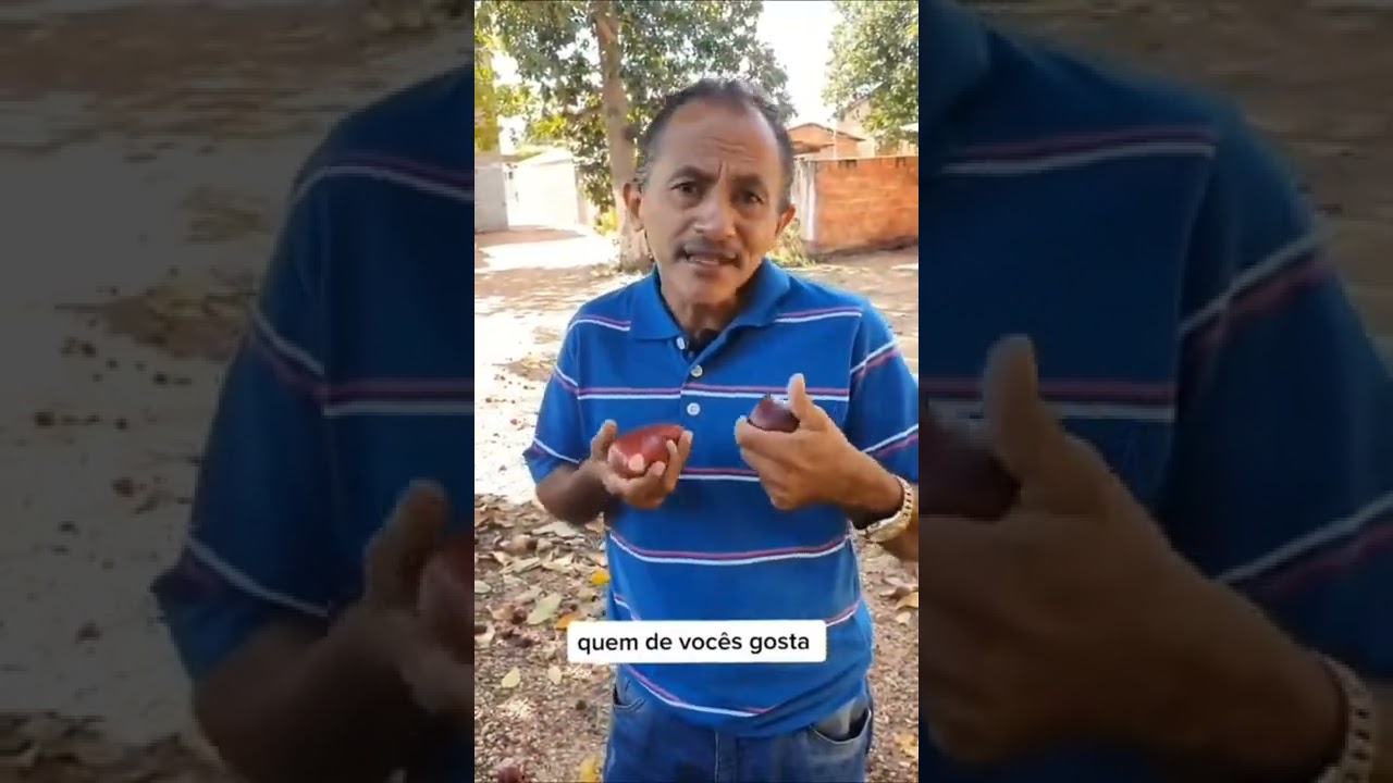 meme - caneta azul quase morre 😂😂!!!