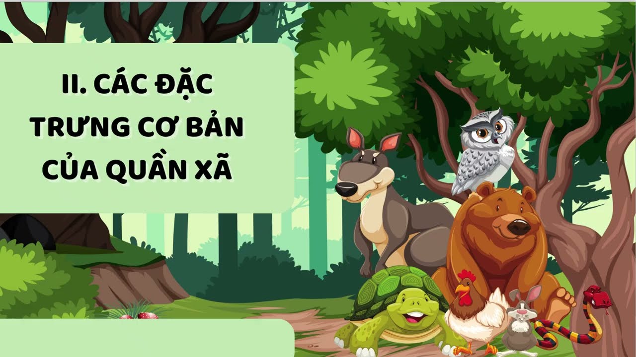 SH12_Bài 22: Sinh thái học quần xã