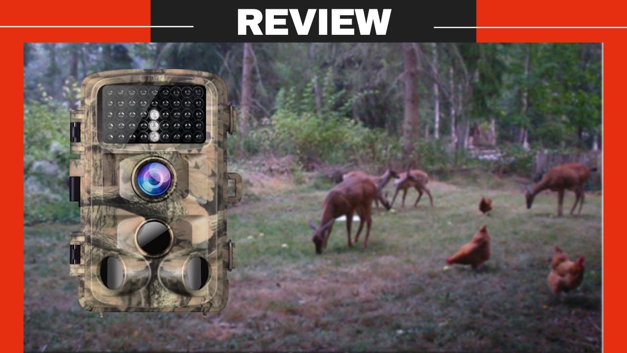 Campark T45A Trail Camera Review | Campark Trail Camera Setup, Manual | 20MP 4K Hunting Game Camera