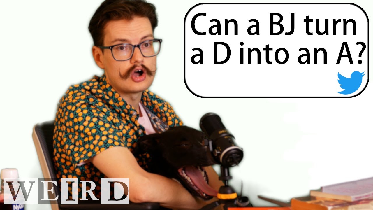 How to get your professor to hate you