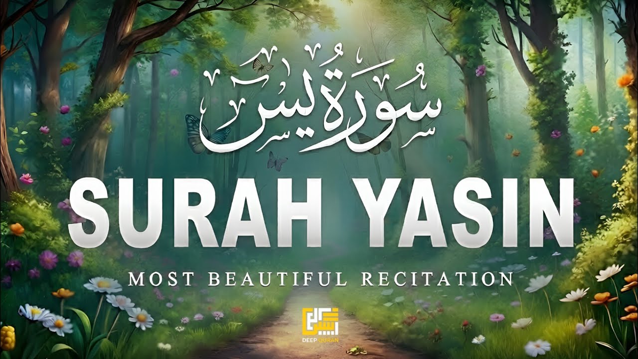 Surah Yaseen Surah Ar Rahman | Best Qur'an Recitation | Surah Yasin Tilawat | With Arabic text 