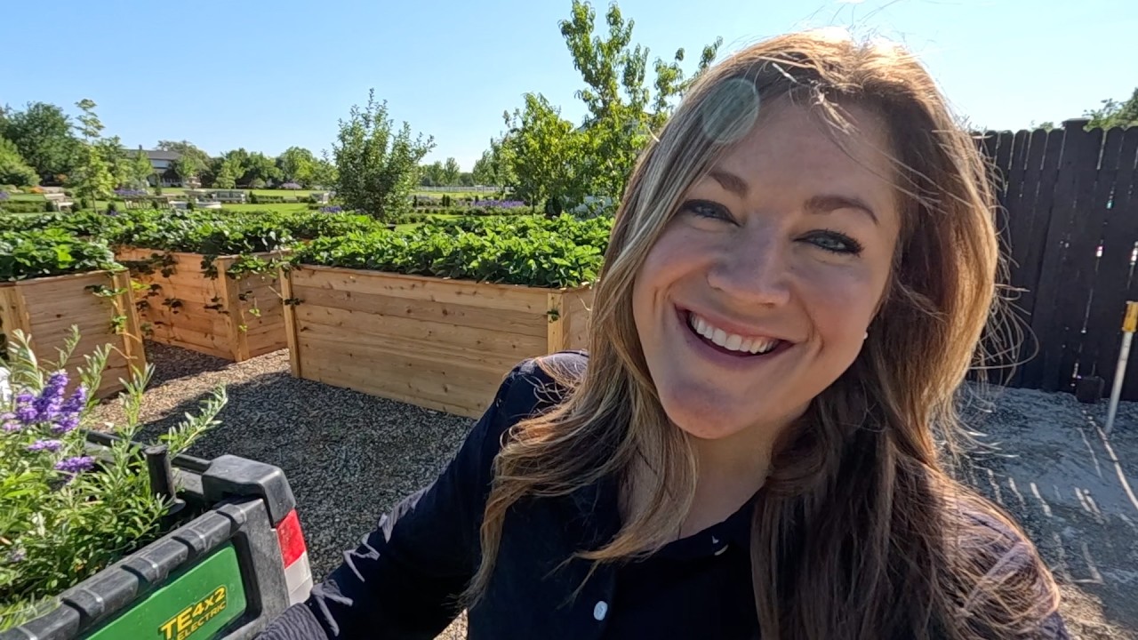 Rooting Strawberry Runners & Planting a Chaste Tree, a New for 2026 Buddleia & Agastache! 🍓🌿🦋