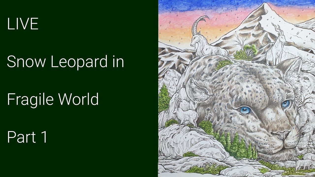 LIVE Snow Leopard in Fragile World | Part 1