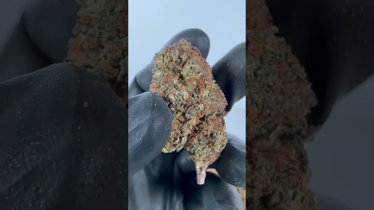 CBD Purple Punch - Cannabis Legale