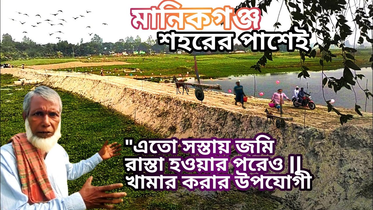 এতো সস্তায় জমি,বাড়ি ও গরুর খামার করার উপযোগী জায়গা 