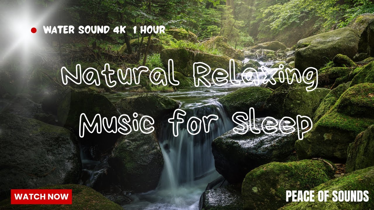 Forest Nature Sounds Relaxing Waterfall-Birds Chirping Sleeping Sound-Water & Birdsong Meditation