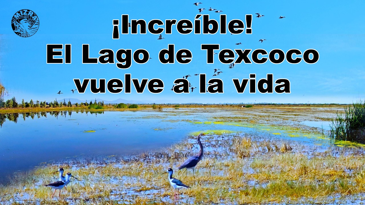 Una vista incre&iacute;ble del Lago de Texcoco