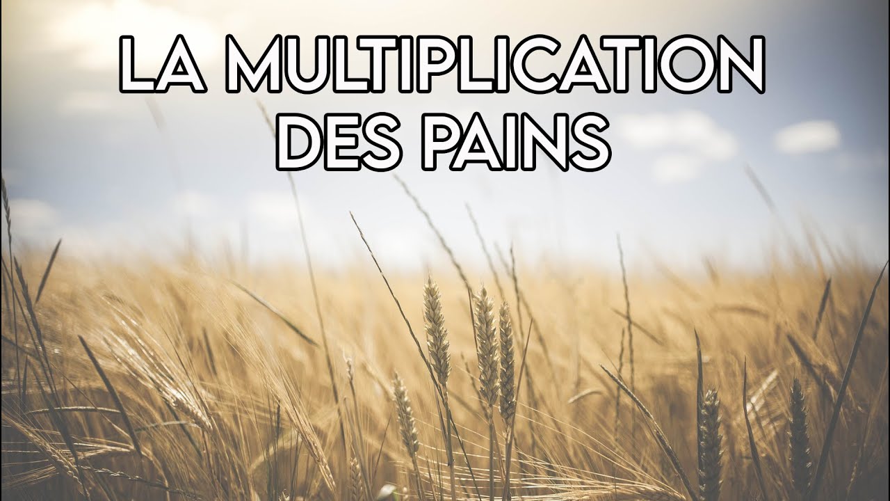 La Multiplication des Pains | Message Biblique |