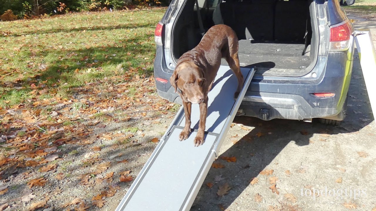Review: PetSafe Telescoping Dog Ramp