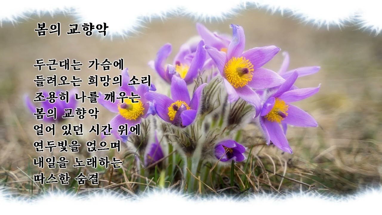 봄의 교향악