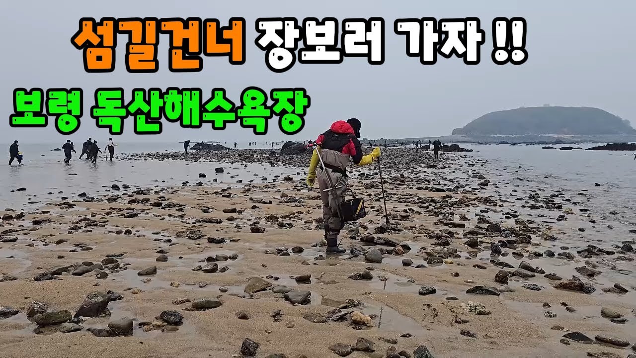 명절연휴 독산해수욕장 섬길이 열리면 쏟아진다 ~!!