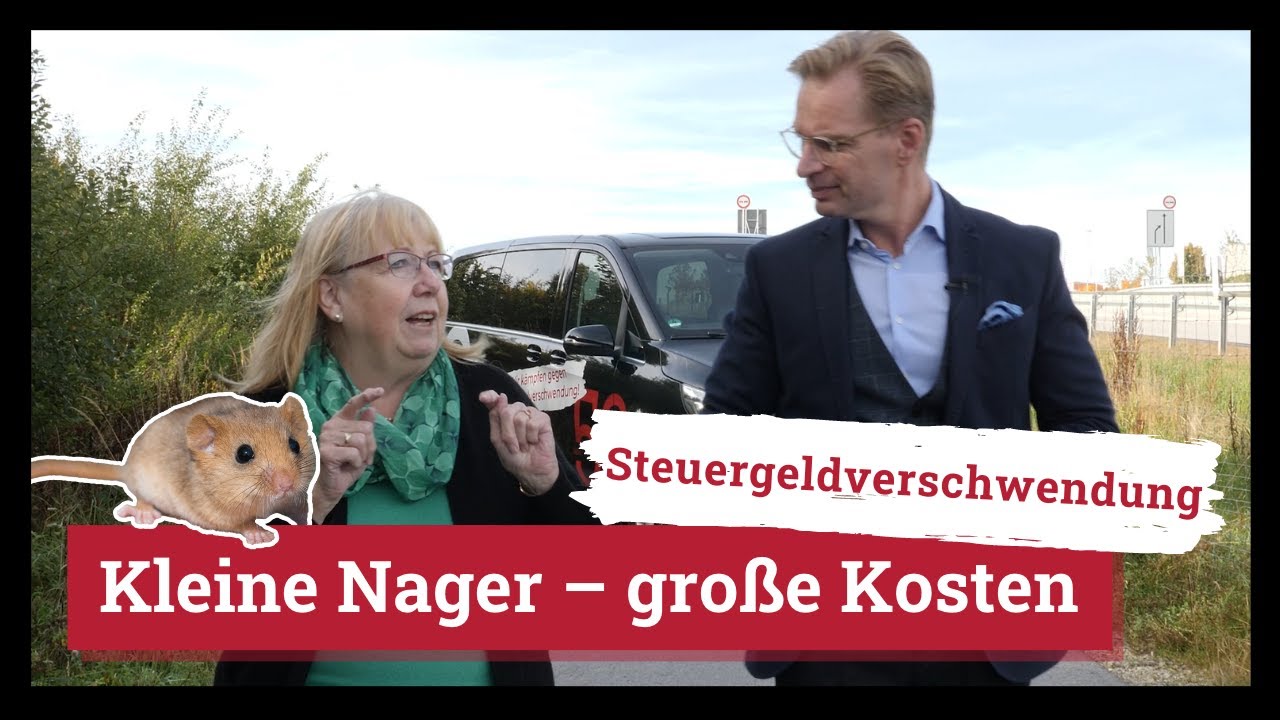 Vilshofen: Mäusebrücke ohne Mäuse | 50 Jahre Schwarzbuch | Steuergeldverschwendung