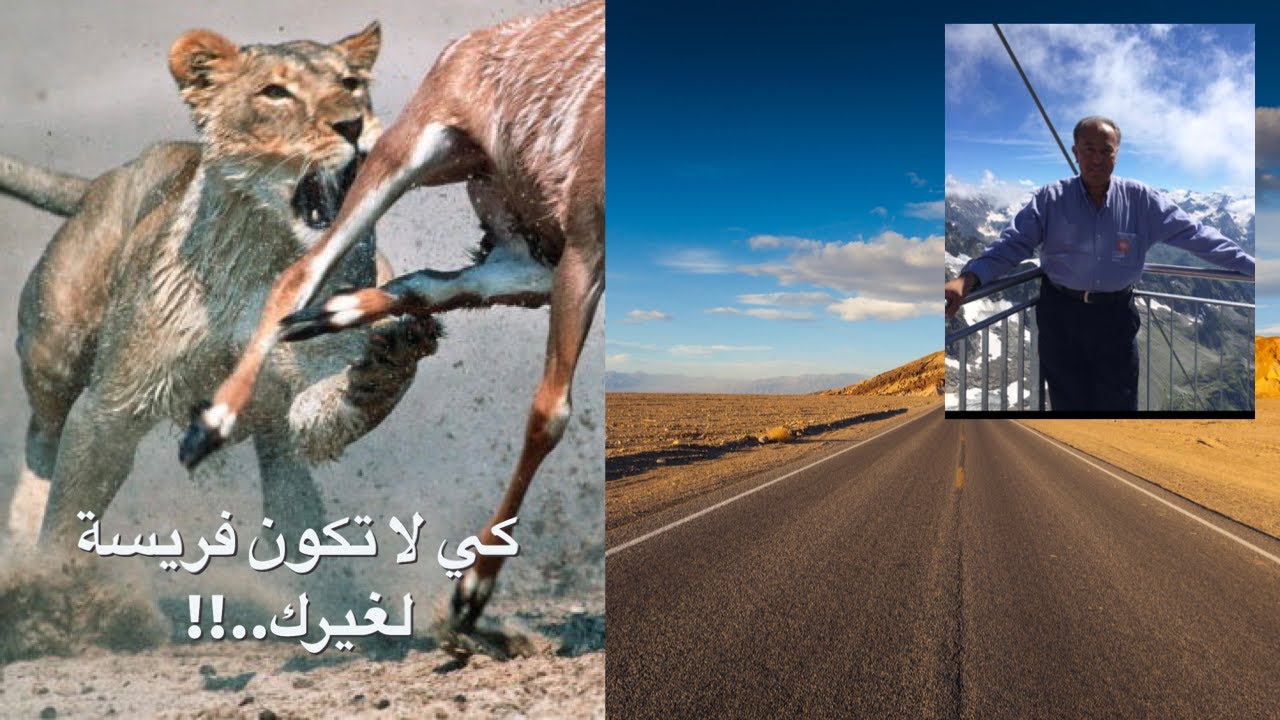 كي لا تكون فريسة لغيرك..!!
