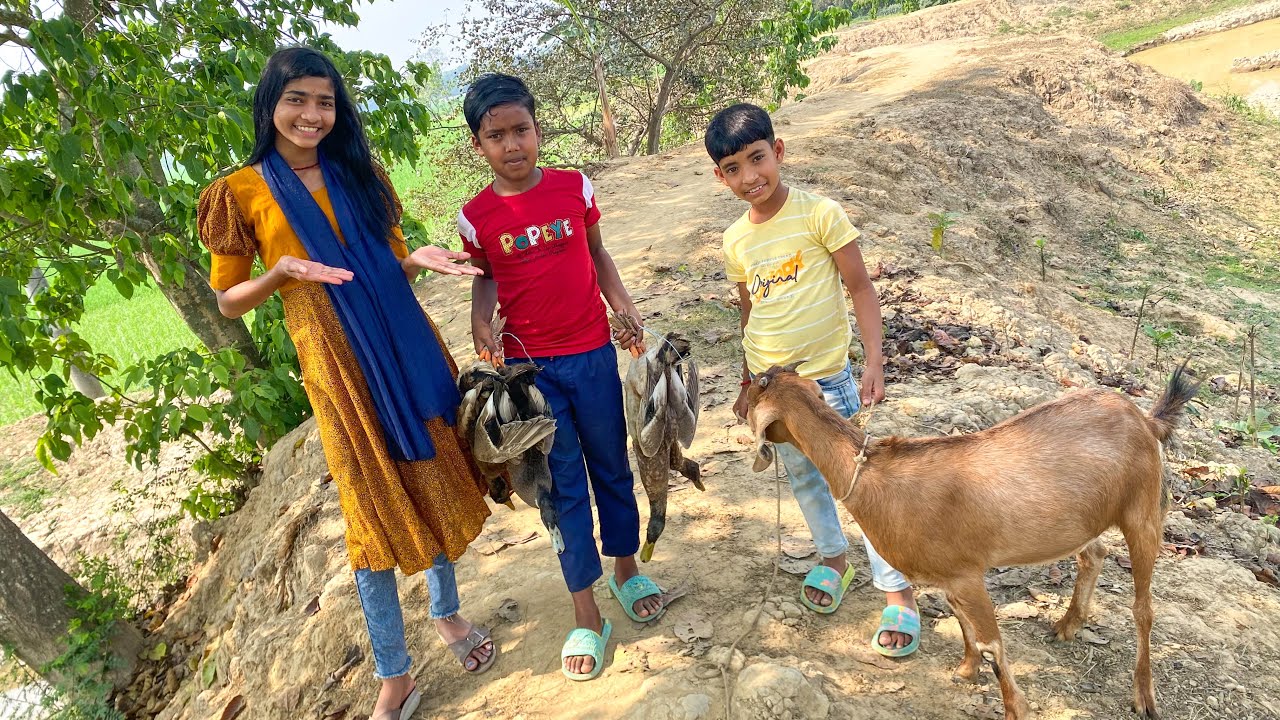 কি বিক্রি করতে সবাই বাজারে যাইতেছি | Daily Village Life Vlog 