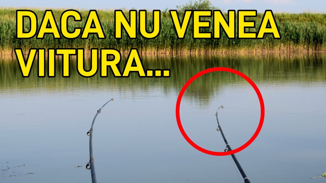 AM PRINS PESTI RECORD PANA SA MA FUGAREASCA VIITURA (Episodul 4)