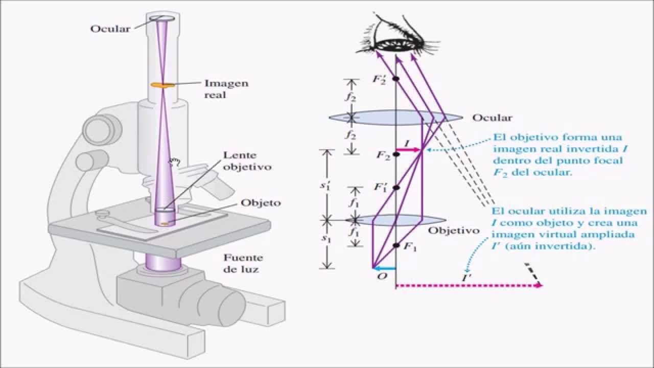 Microscopio y Telescopio