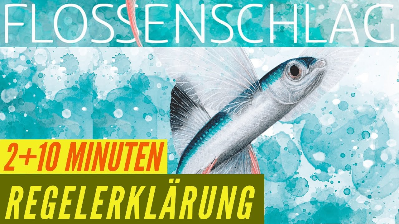 Flossenschlag Regeln Anleitung Erkl&auml;rung Brettspiel Familienspiel+ Finspan