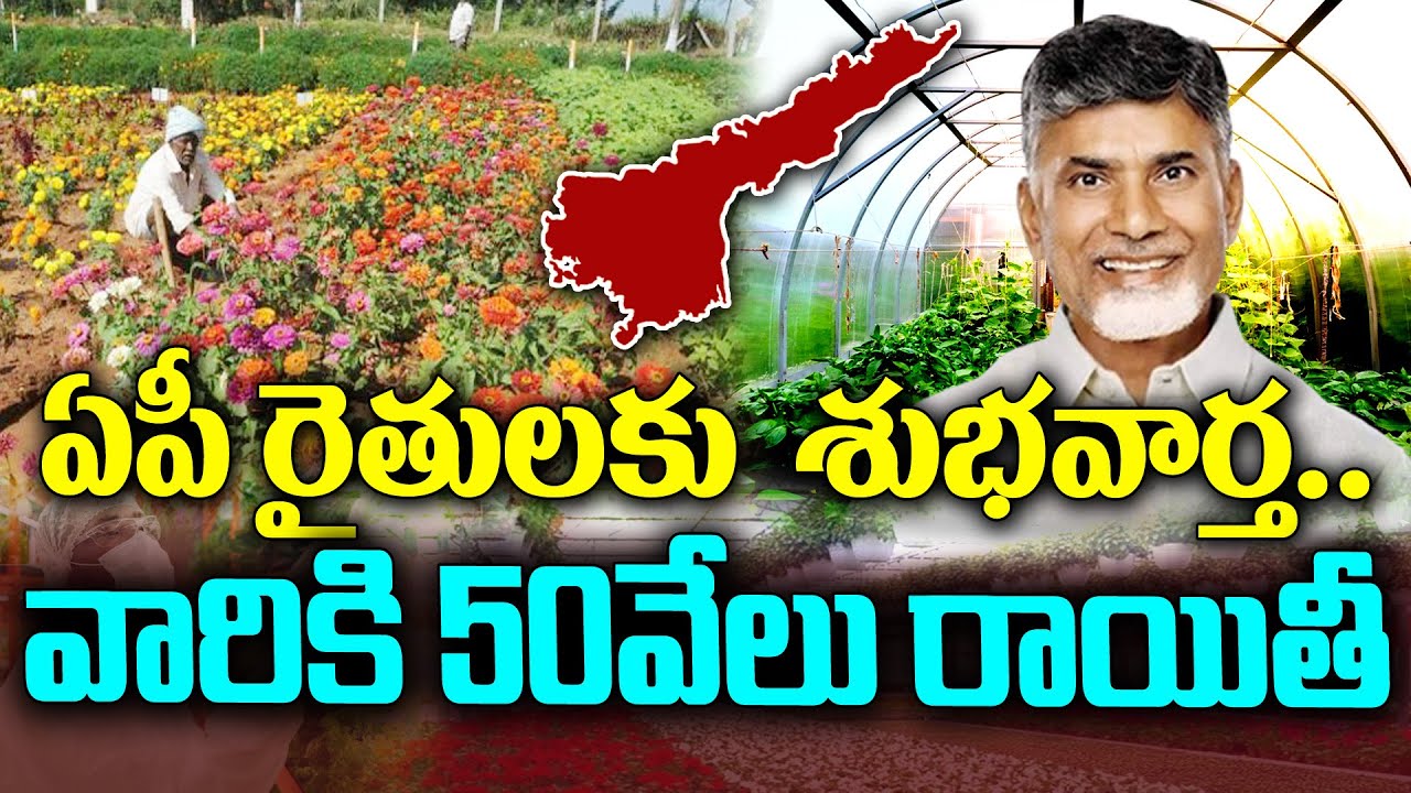 AP Government Good News to Horticulture Farmers | KKNewsTelugu
