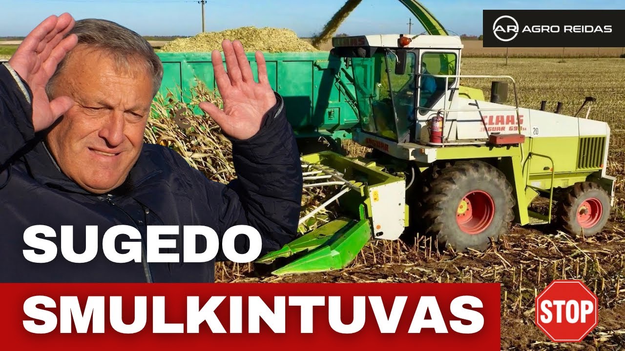 Pinigai byra kasdien? Kukurūzų smulkinimas Ginkūnų agrofirmoje || AGRO REIDAS