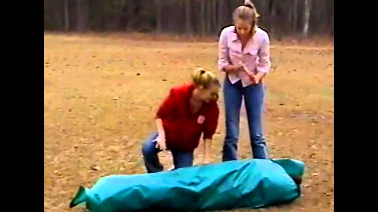 Dixie Chicks - Goodbye Earl Music Video 2004