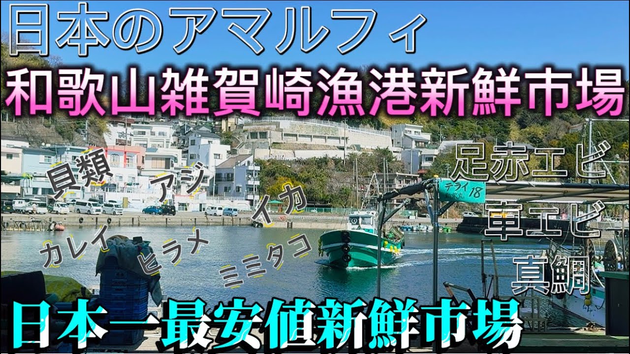【和歌山雑賀崎新鮮市場】１匹50円の魚即完売‼️漁師さん直売の新鮮激安市場