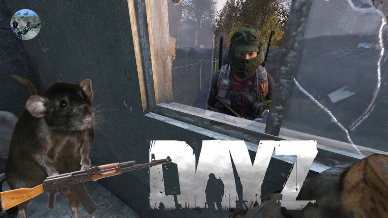 DayZ - King Rat of Berezino (Solo bandit tutorial)