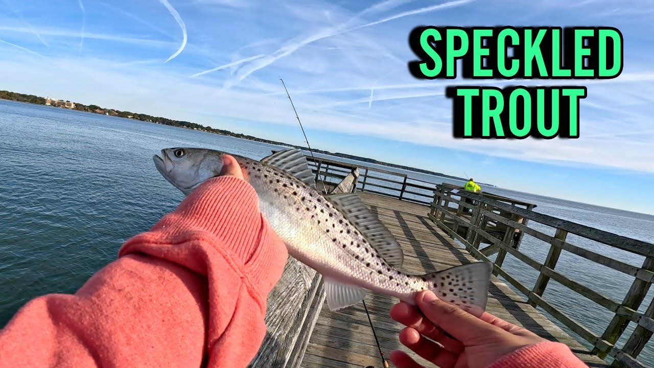 SPECKLED TROUT FISHING IN VIRGINIA! HUNTING FOR BIG TROUT IN VA SALTWATER FISHING!