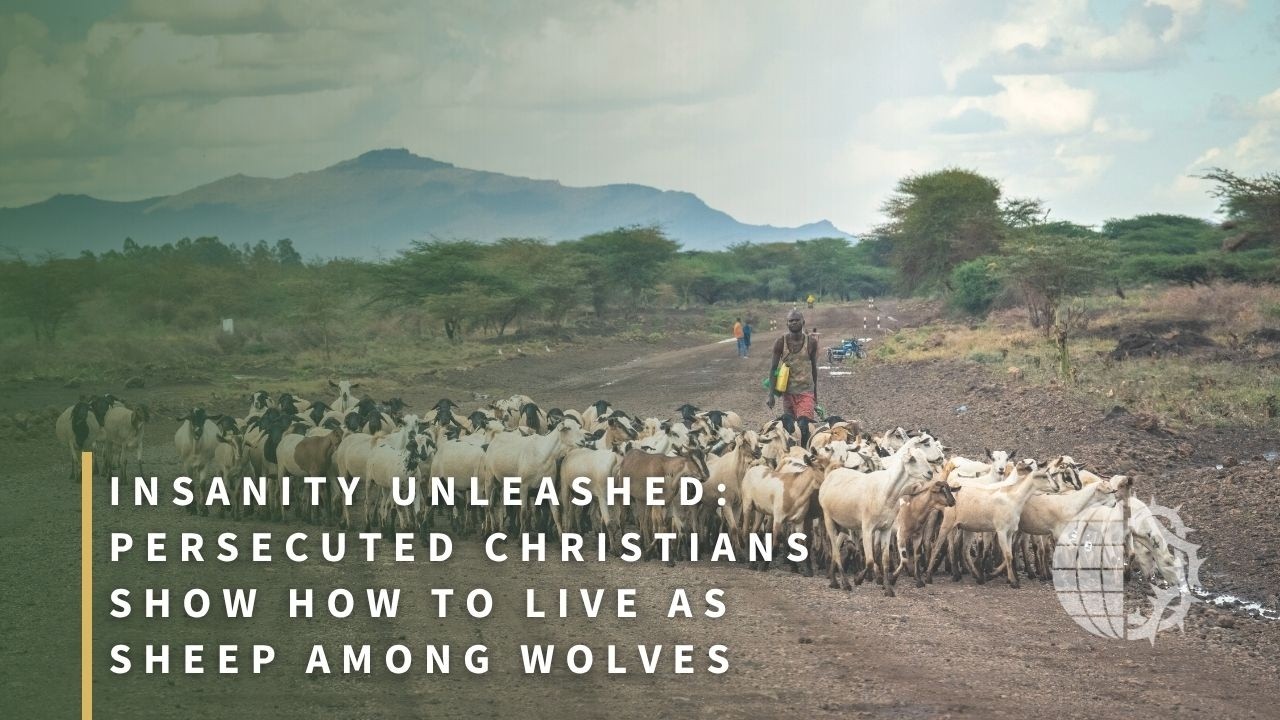 INSANITY UNLEASHED: Persecuted Christians Show How to Live as Sheep Among Wolves