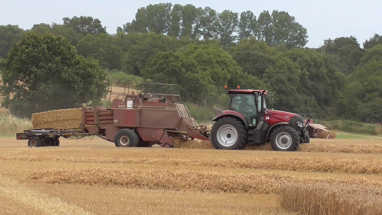 baling and straw stacking at wenhaston suffolk uk [ 5th aug 2024 ]