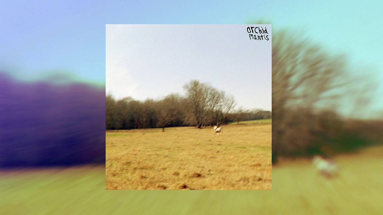 orchid mantis - light as leaving [FULL ALBUM] ZT123