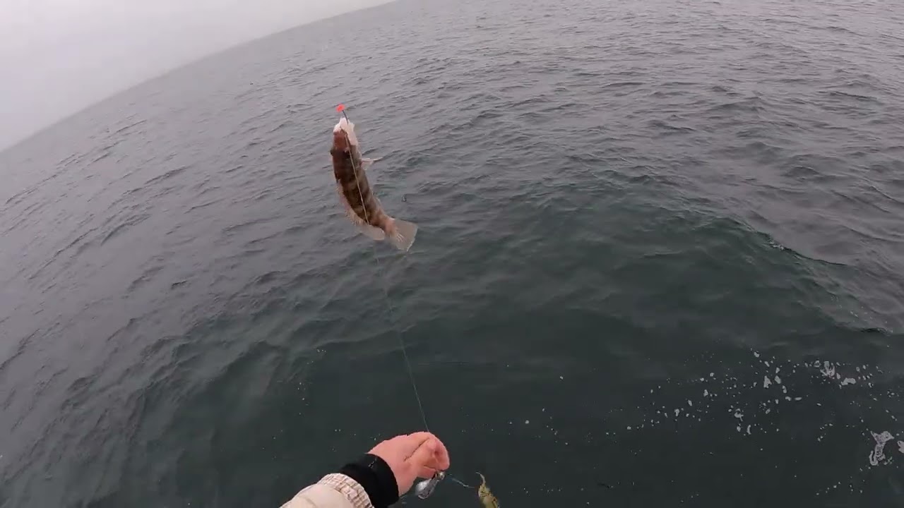 Dauntless Fishing 02 11 2024