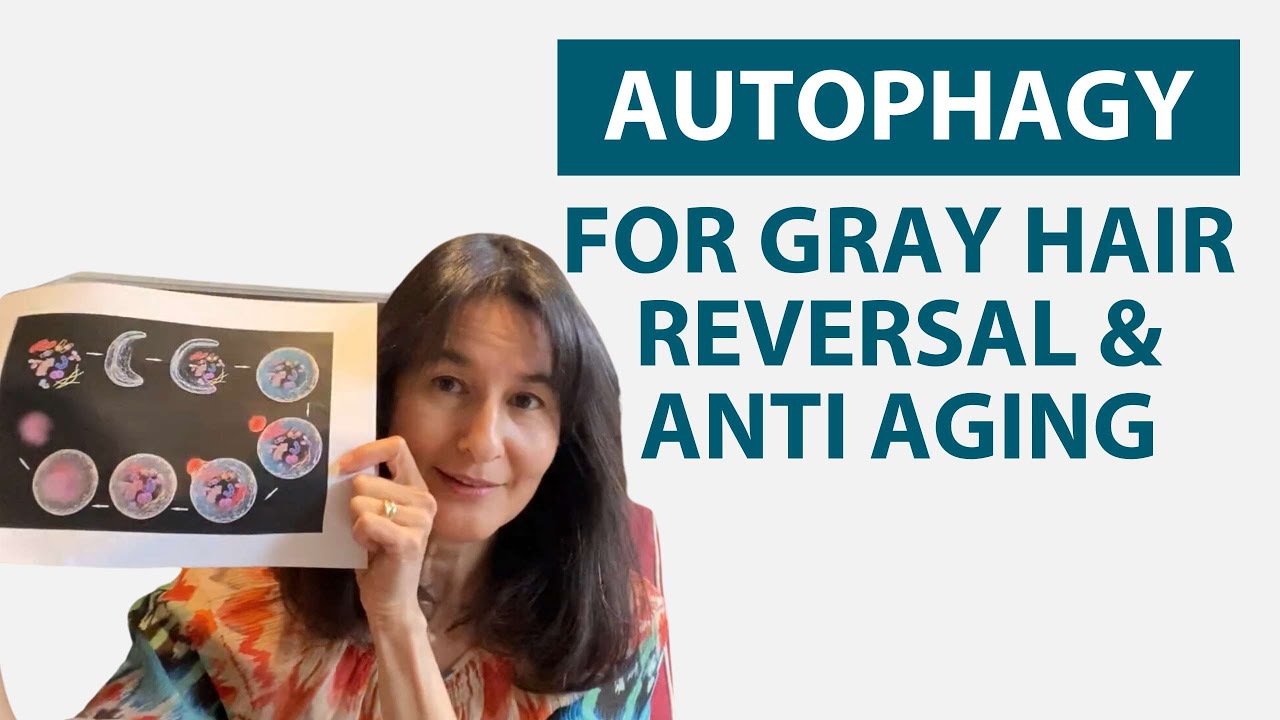 Autophagy For Gray Hair Reversal & Anti-Aging [How To Induce Autophagy With Spermidine]