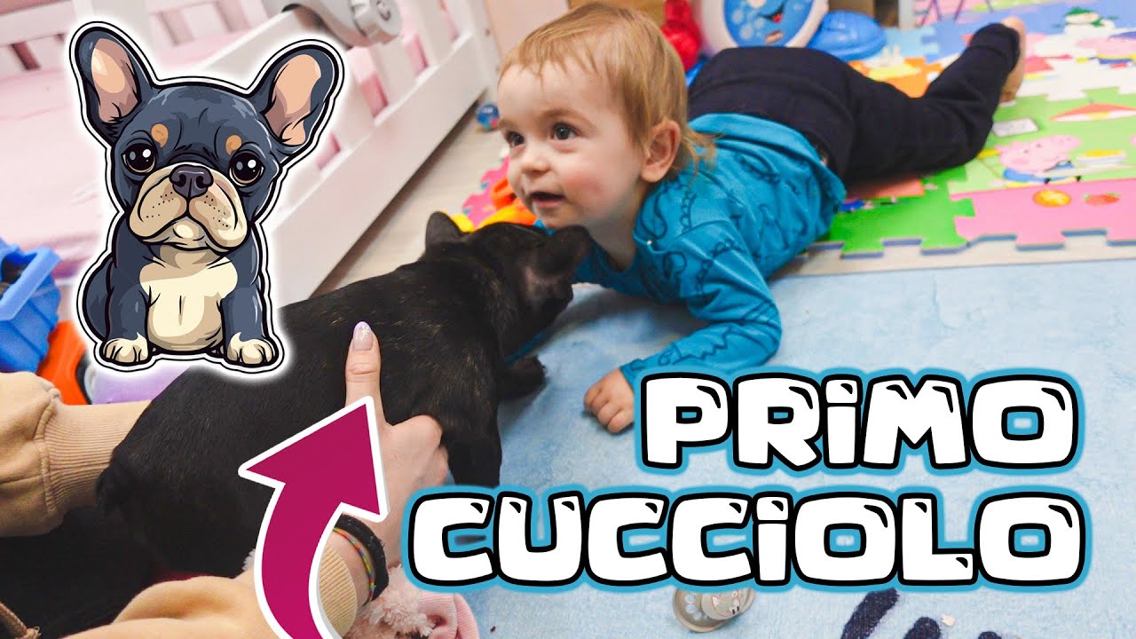 Il primo CUCCIOLO di DANTE & acquisti per baby2!