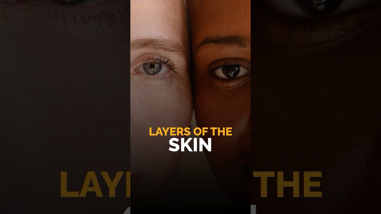 Layers of Skin Explained | Epidermis, Dermis & Hypodermis Simplified for Skincare & Health