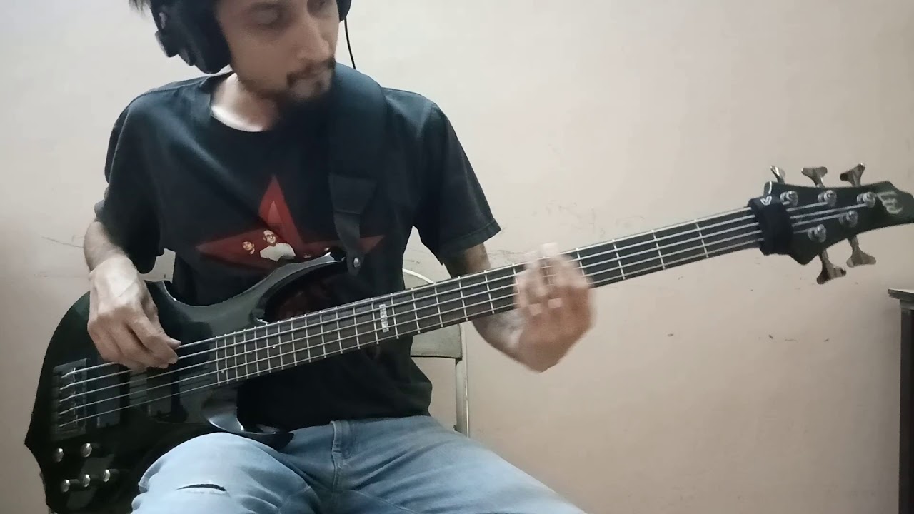 Tool - Vicarious (Bass cover)