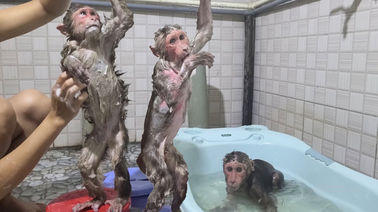 Mimi Kuku plays a free fall game in the shower