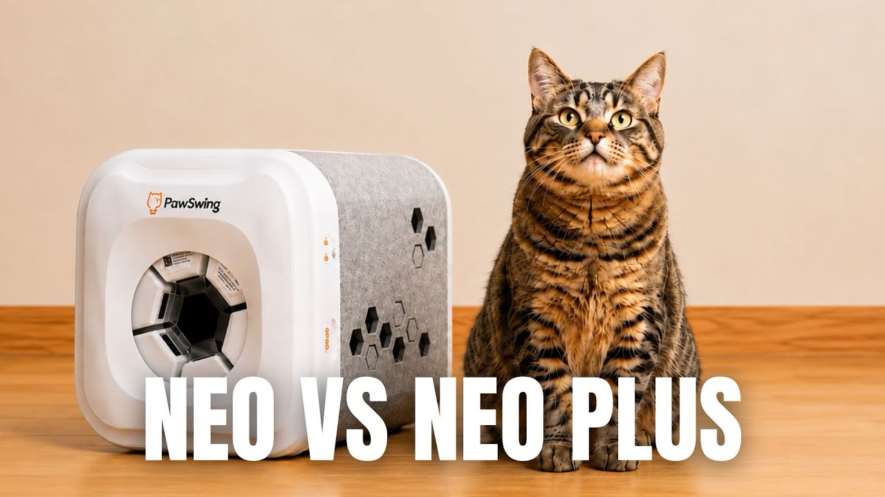 Which Pawswing Should You Actually Buy? (Neo vs Neo Plus)